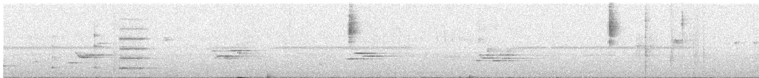 Club-winged Manakin - ML657282869
