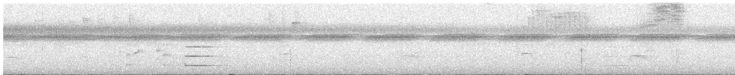 Club-winged Manakin - ML657282870
