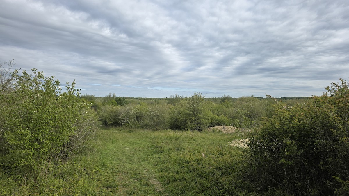 null - ML657285164