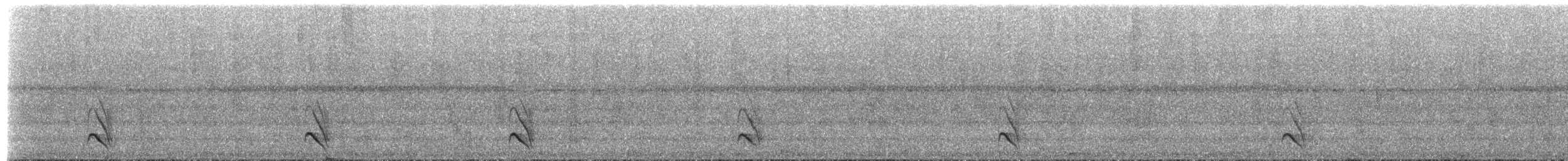 Plain Antvireo - ML657285569