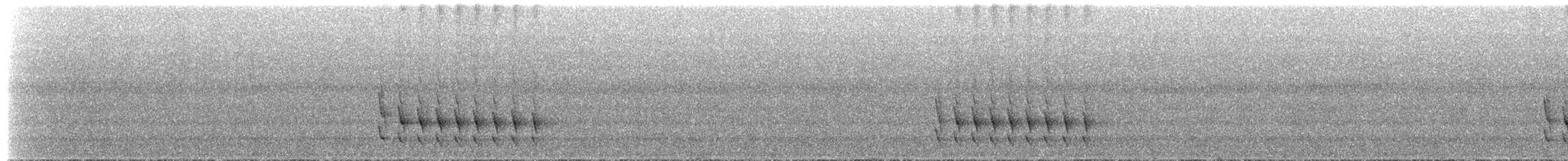 White-crowned Tapaculo - ML657285824