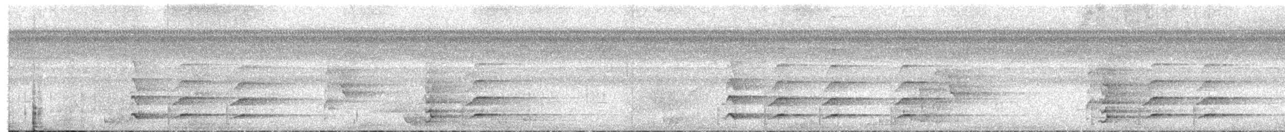 Белогрудый тукан - ML657296296