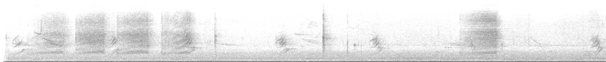 Northern Mockingbird - ML657301644