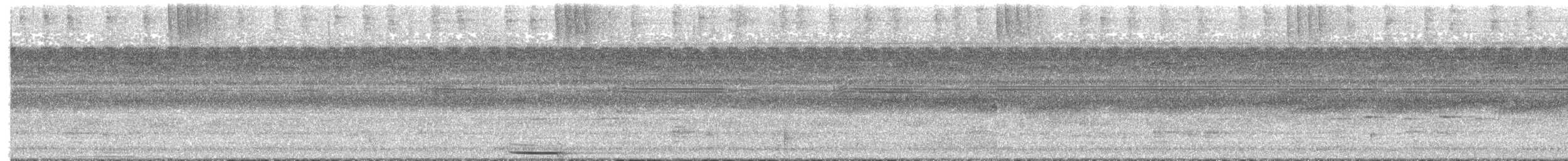 Зебровая выпь - ML657303228