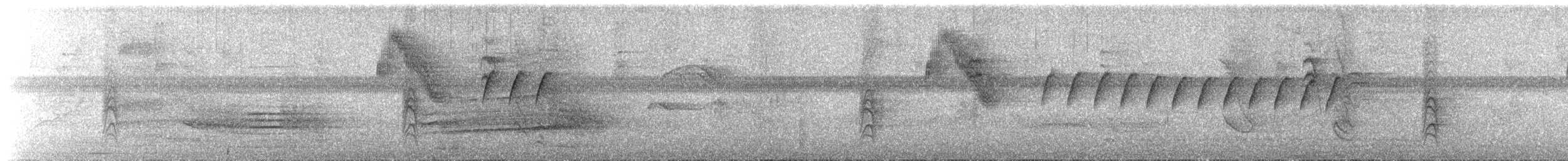 Tropical Gnatcatcher - ML657306761