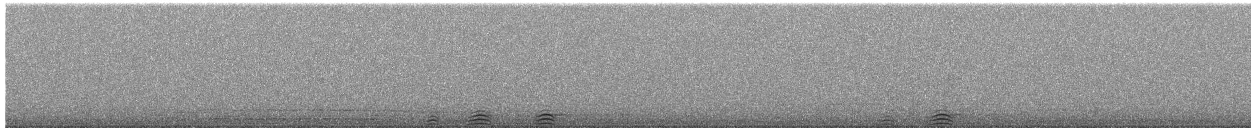 アメリカワシミミズク - ML657308173