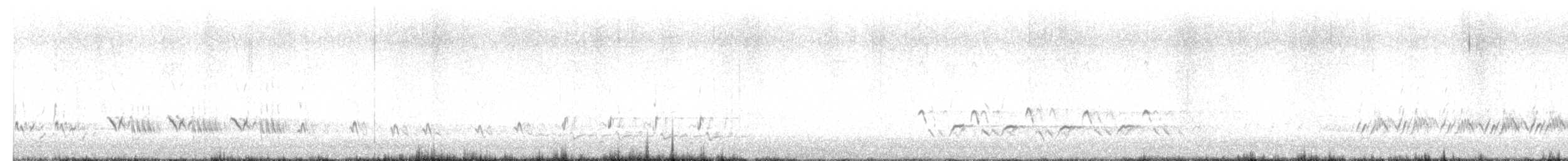 Northern Mockingbird - ML657315616