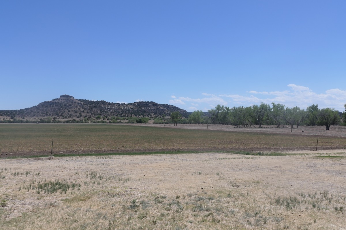 null - ML657326866