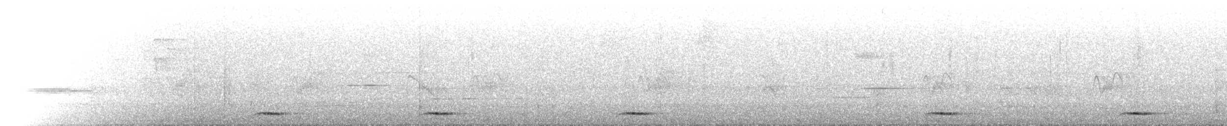Band-tailed Pigeon - ML657333707