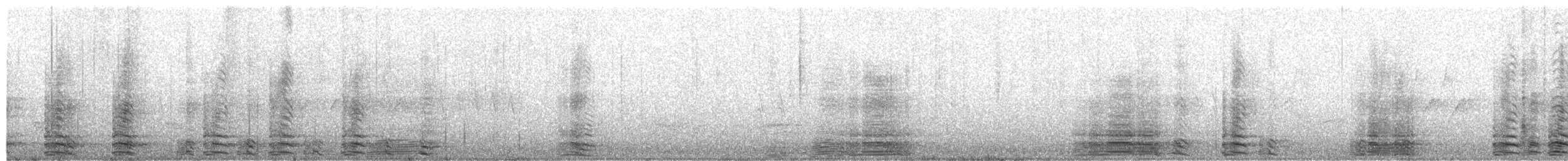 Branta kanadar handia - ML657347337