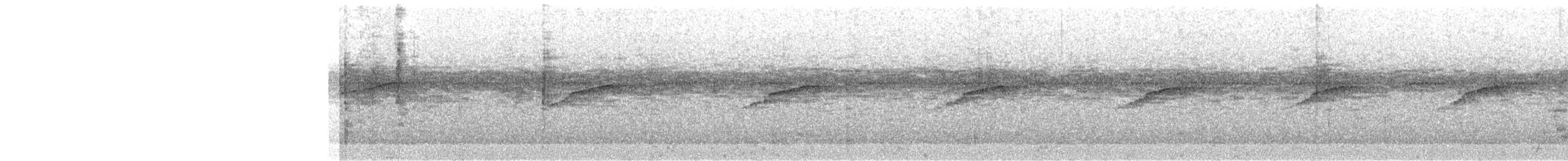 Lanceolated Monklet - ML657354895