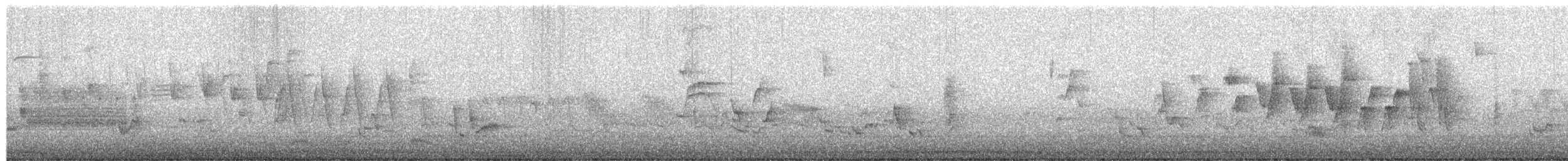 Northern Waterthrush - ML657355132