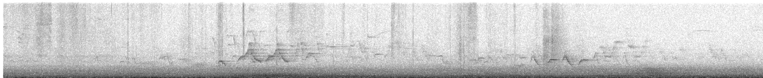 Swainson's Thrush - ML657355191