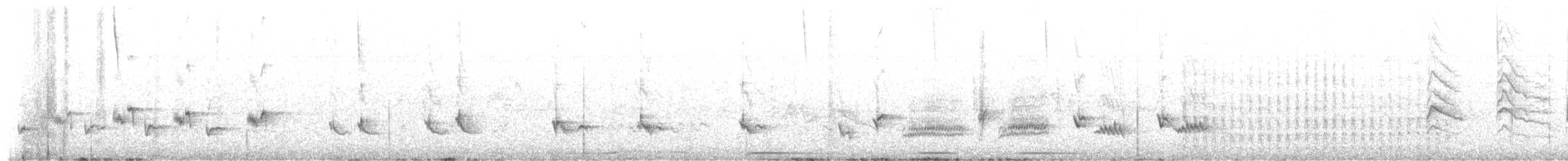 Northern Mockingbird - ML657359526
