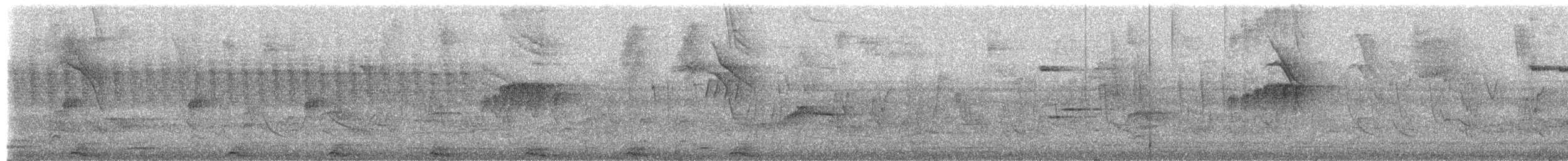 Королевский тиранн - ML657364105