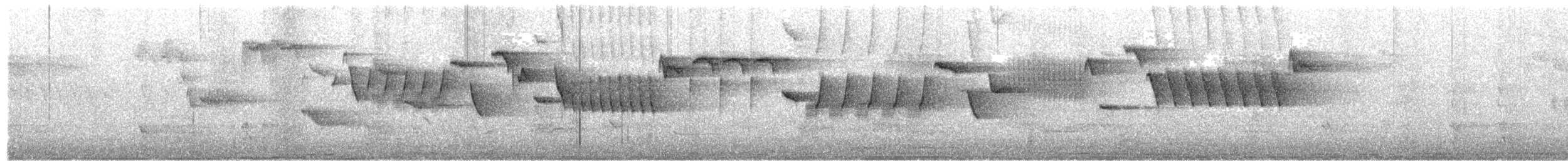 גדרון מובהק - ML657366314