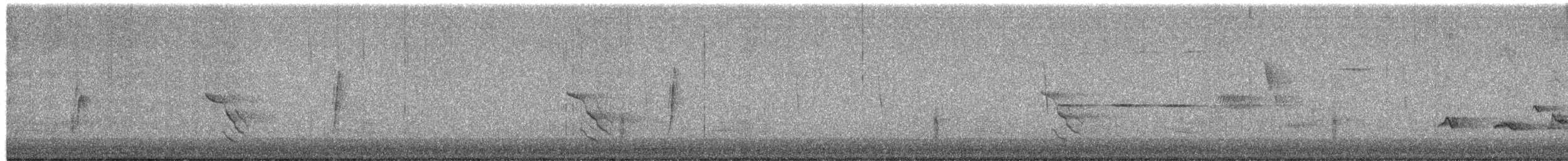 Least Flycatcher - ML657368522