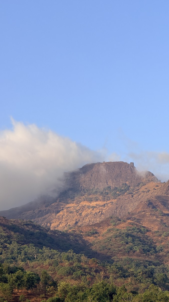 null - ML657369083
