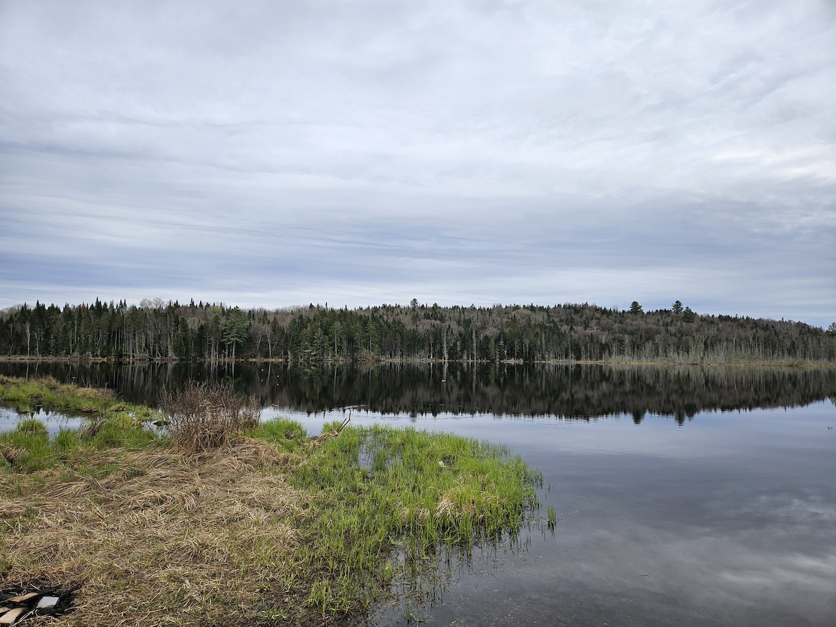 null - ML657372139