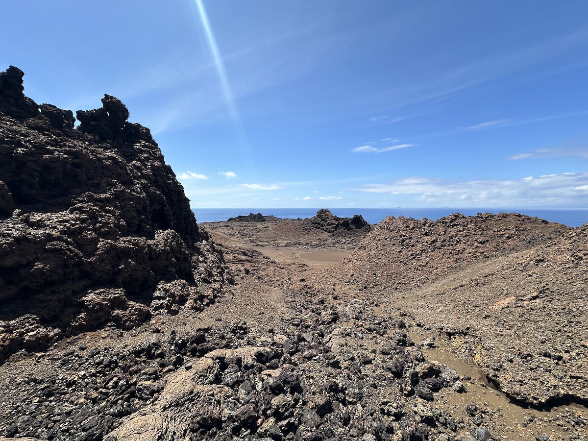 null - ML657380425