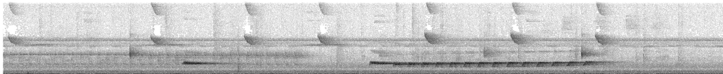 Каштановый скрытохвост - ML65738161