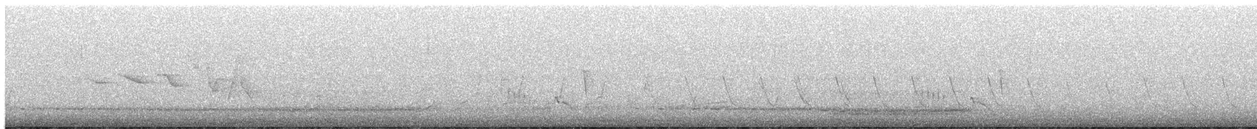 Swainson's Warbler - ML657383438