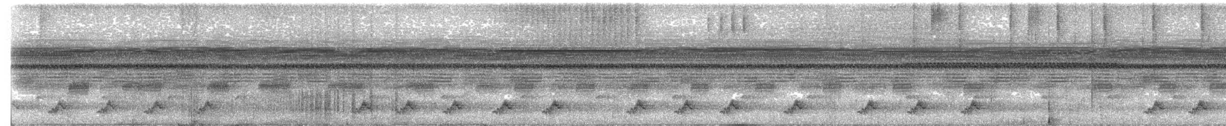 Puerto Rican Nightjar - ML657389393