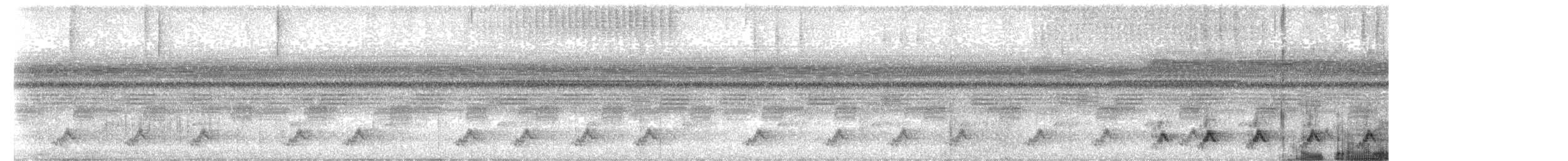 Puerto Rican Nightjar - ML657389815