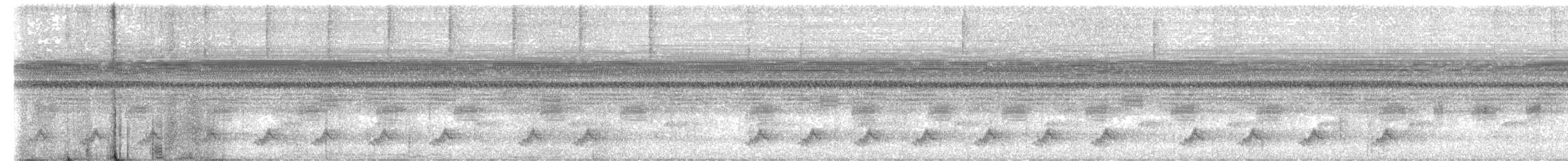 Puerto Rican Nightjar - ML657389857