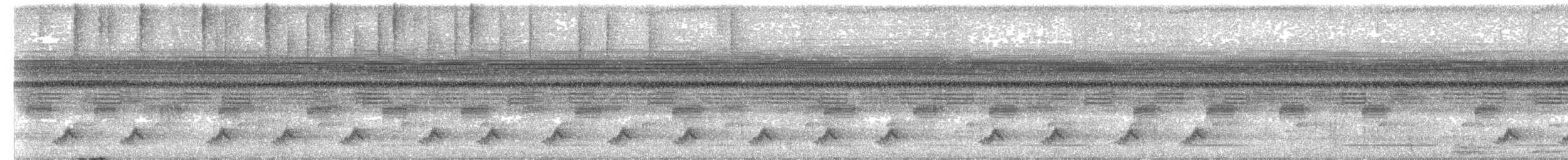 Puerto Rican Nightjar - ML657389891
