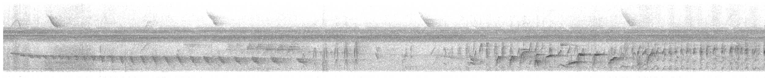 Plain Thornbird - ML657394031