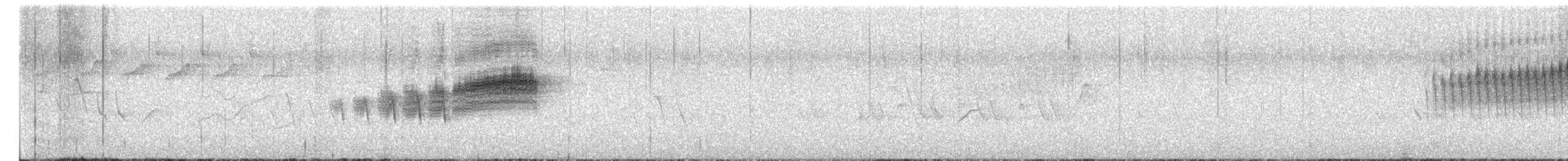 Black-throated Blue Warbler - ML657406119