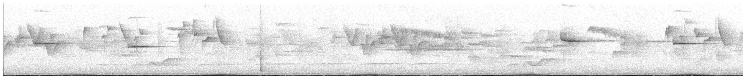 灰林鴿 - ML657421095