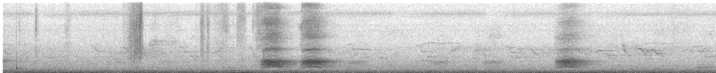 עורב הודי - ML657424029