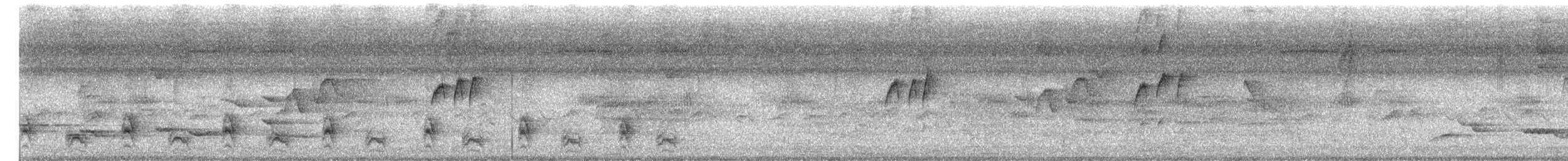 Jet Antbird - ML657433988