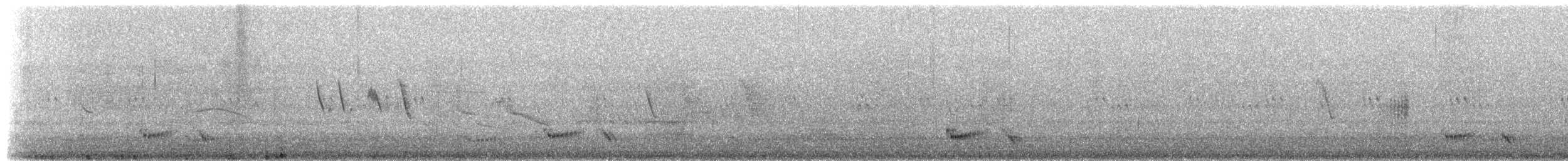 Black-winged Ground Dove - ML657434035
