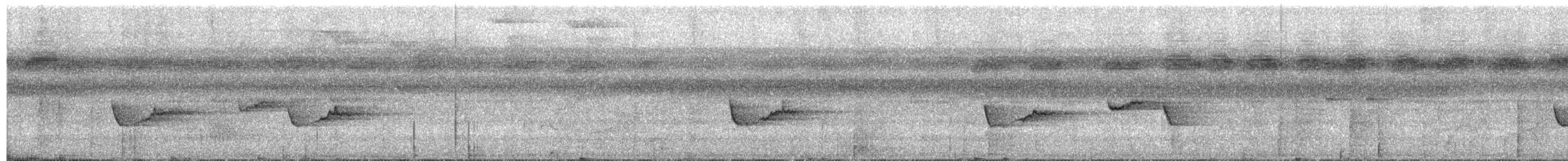 bird sp. - ML657434116