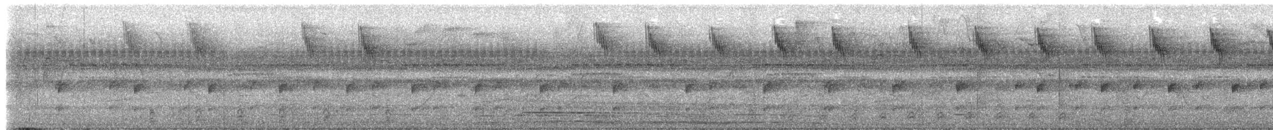 Varzea Thrush - ML657438789