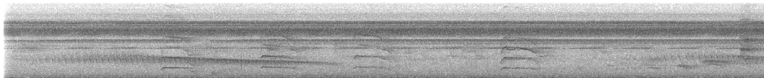 Leaden Antwren - ML657438867