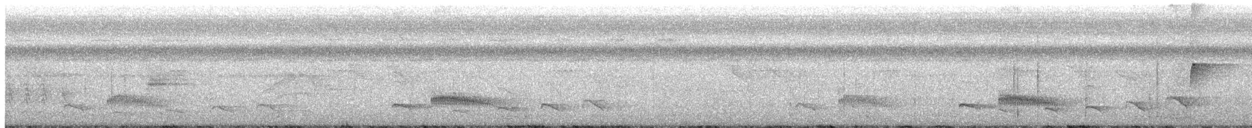 Riparian Antbird - ML657438883