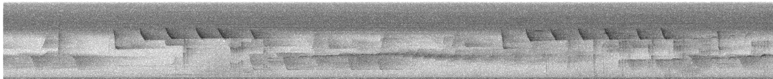 Speckled Spinetail - ML657440193