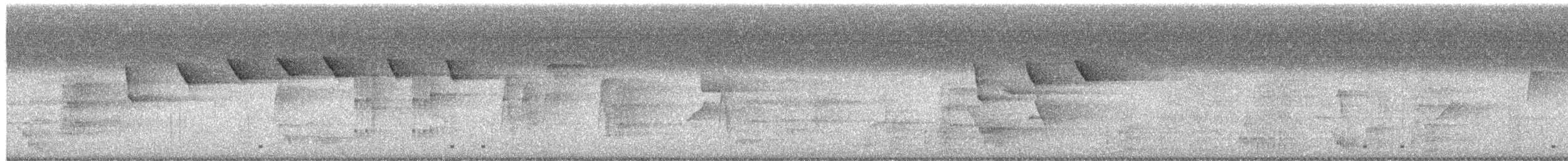 Speckled Spinetail - ML657440195