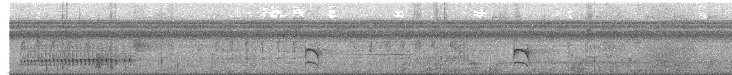 Amazonian Streaked-Antwren - ML657440468