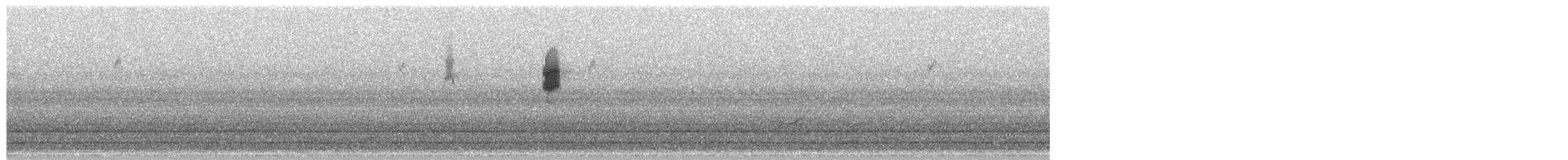 גיבתונית כחולה - ML657455105