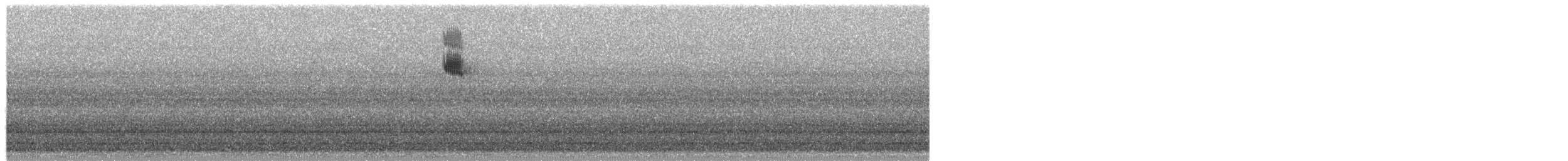 גיבתונית כחולה - ML657455106