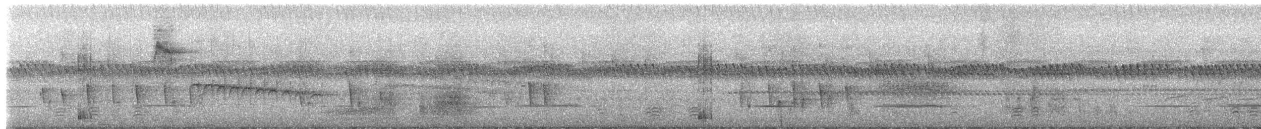 Black-backed Puffback - ML657455156