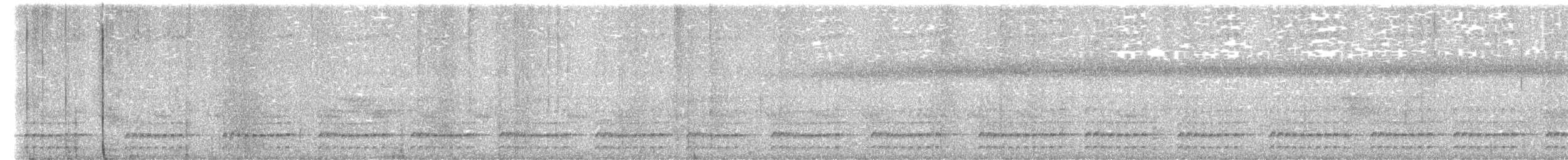 Tatama Tapaculo - ML657455245