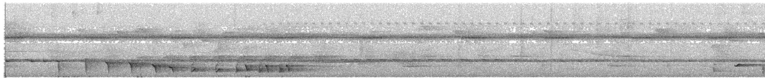 Western Nicator - ML657459931