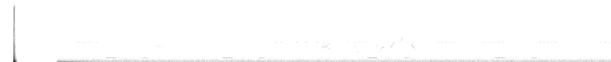 Groove-billed Ani - ML657463471