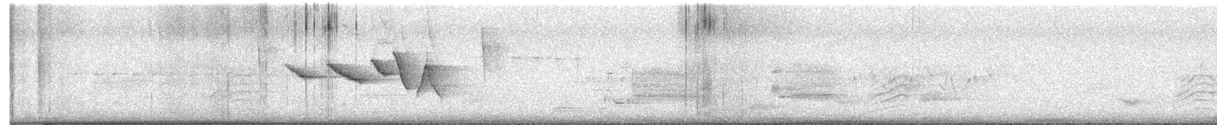 Swainson's Warbler - ML657463710